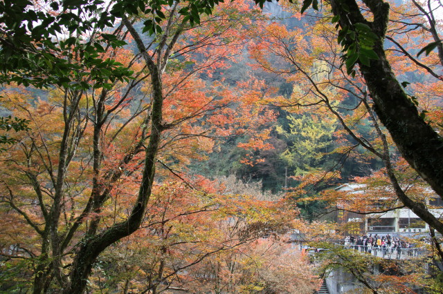 紅葉とお山と。そして、かかし・・・　－紅葉編－_d0140234_12142835.jpg