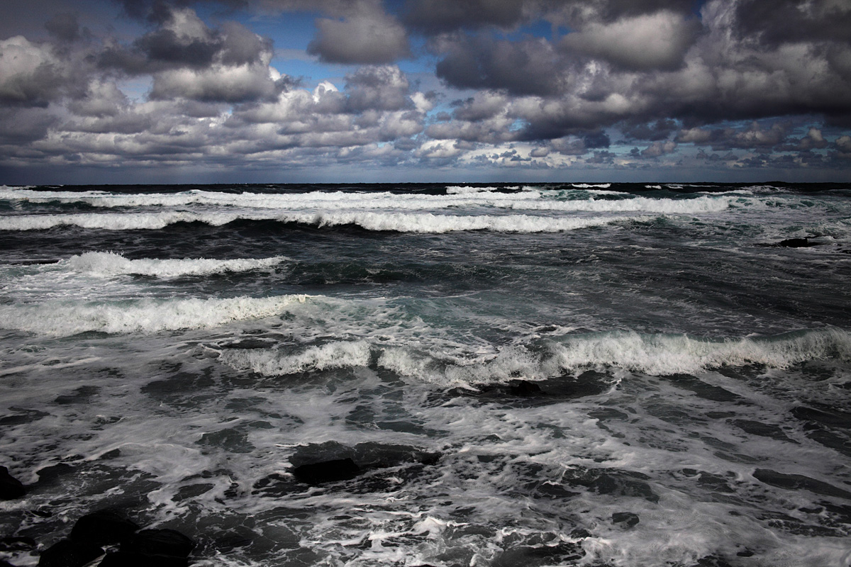 e0006135_125766.jpg