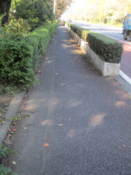 f0038336_77410.jpg