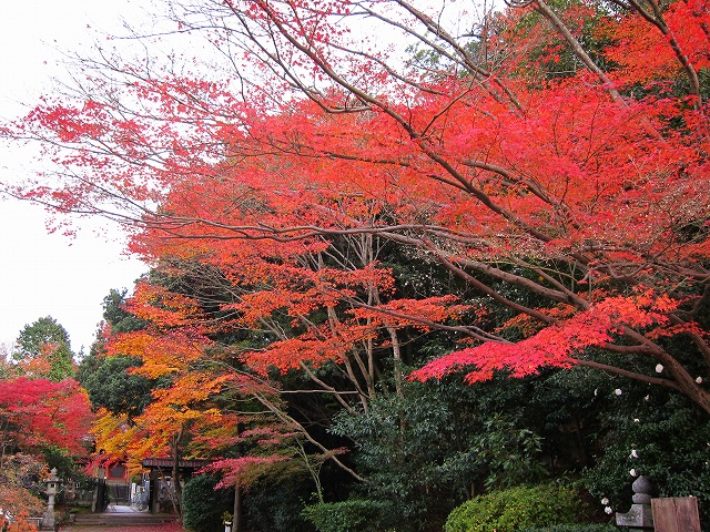 京都　伏見稲荷から東福寺まで_a0219537_11731.jpg