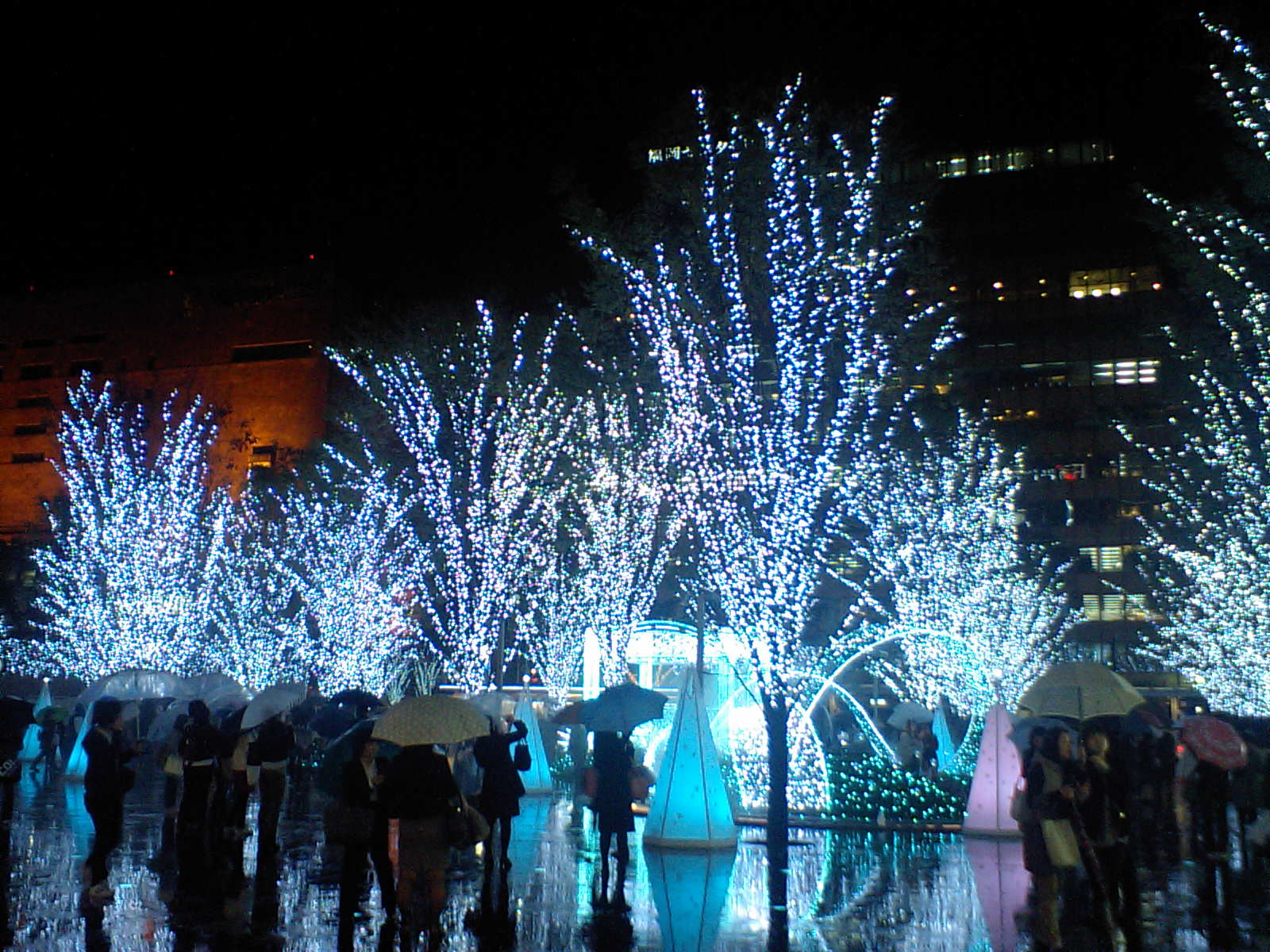 b0233937_17315287.jpg
