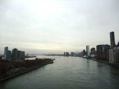 c0023937_2339463.jpg