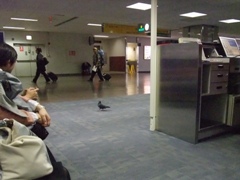 c0023937_23424593.jpg