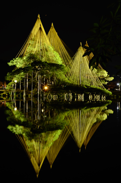 2011年　兼六園ライトアップ　～秋の段Ⅱ～　雪つり_e0055138_0192095.jpg