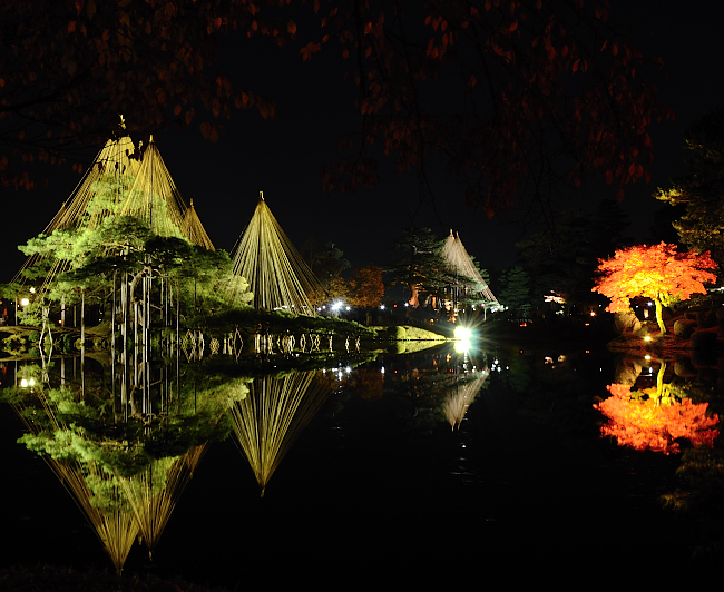 2011年　兼六園ライトアップ　～秋の段Ⅱ～　雪つり_e0055138_0334387.jpg