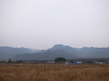 a0014840_1985933.jpg