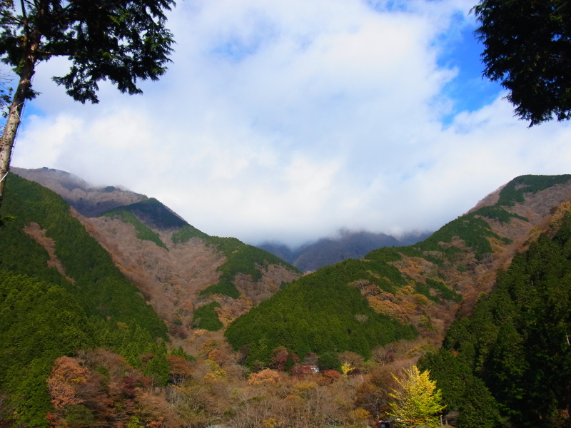 b0190242_17361416.jpg