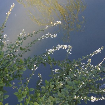 e0086642_0103545.jpg
