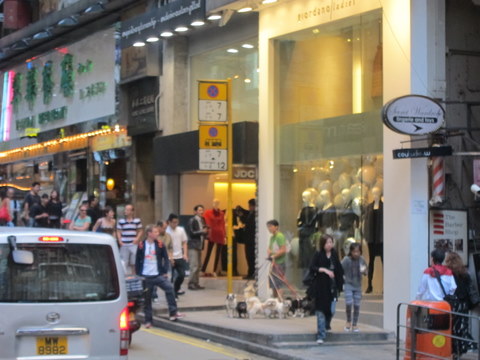 e0018143_11164.jpg