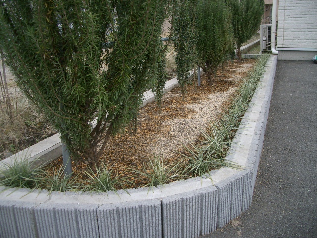 交渉成立(とりあえず完成)_a0155844_10145230.jpg