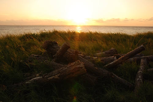 f0229844_1231779.jpg