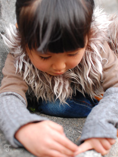 塀の上の。_d0227246_204887.jpg