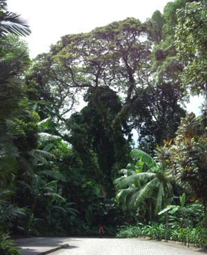 a0164049_1695121.jpg
