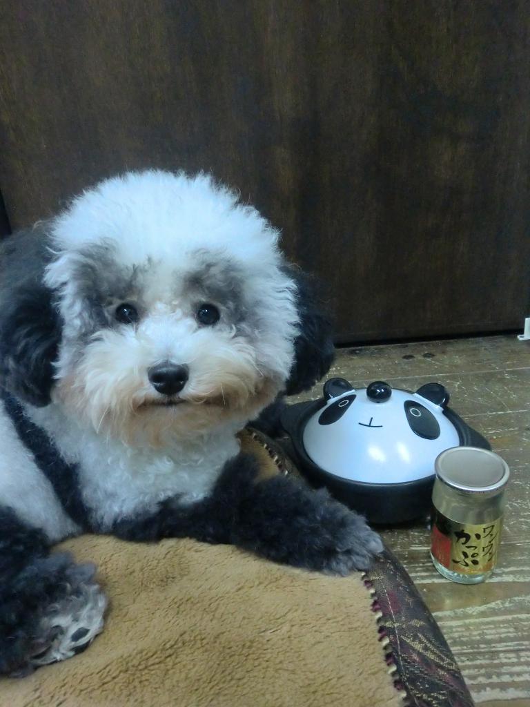 b0199050_2132588.jpg