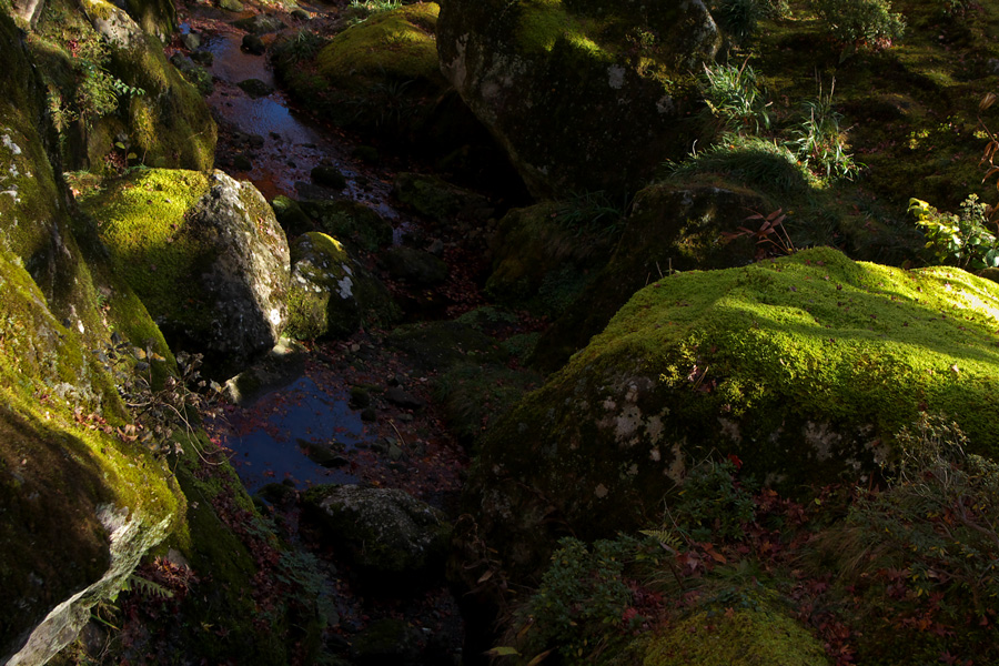 箱根美術館の紅葉　№３_e0140650_23553276.jpg