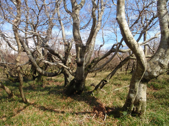 c0097754_17502268.jpg