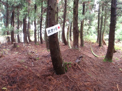 c0097754_17525891.jpg