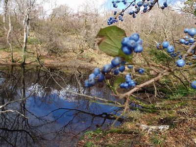 c0097754_17545761.jpg