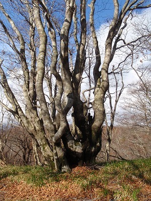 c0097754_17562541.jpg