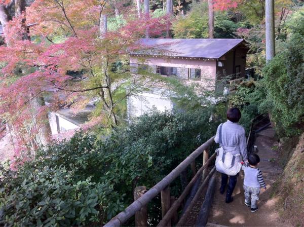 「喜び」しかない 2011.11.27_b0002156_12522277.jpg