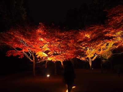 紅色闇夜_e0170558_2312101.jpg