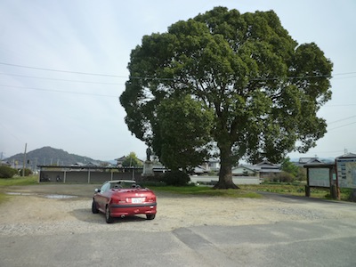 e0068460_144189.jpg