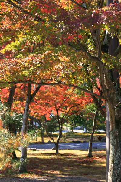 天龍寺_e0128863_22512921.jpg