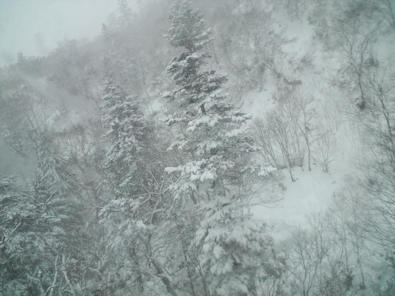 札幌3日目 ☆ 札幌国際スキー場_c0151965_2338356.jpg