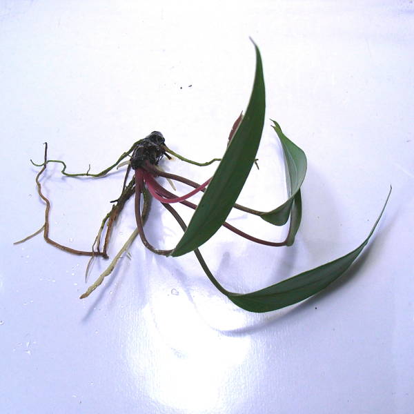 d0249970_23954.jpg