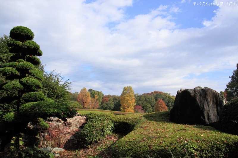 川口市グリーンセンター その１ テーマはFisheye_b0131071_124474.jpg