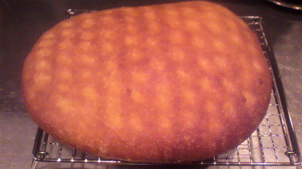 セレーナの仕込み_d0118071_19113928.jpg