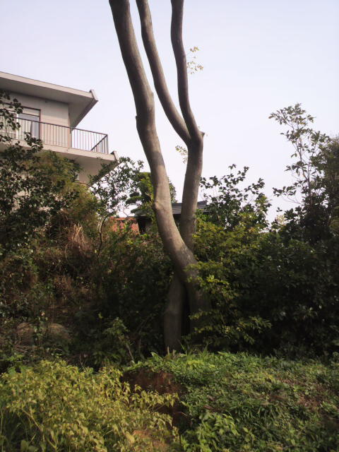フォトロゲイニング山口in阿知須_c0150273_1658226.jpg