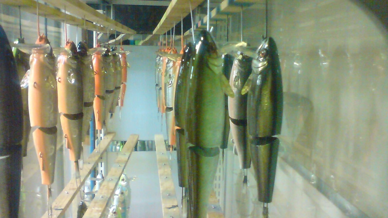 塗装完了_a0040876_1331129.jpg
