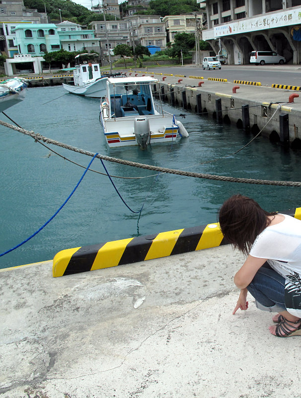 弾丸沖縄　伊良部下地島編　⑩_b0122979_1821784.jpg