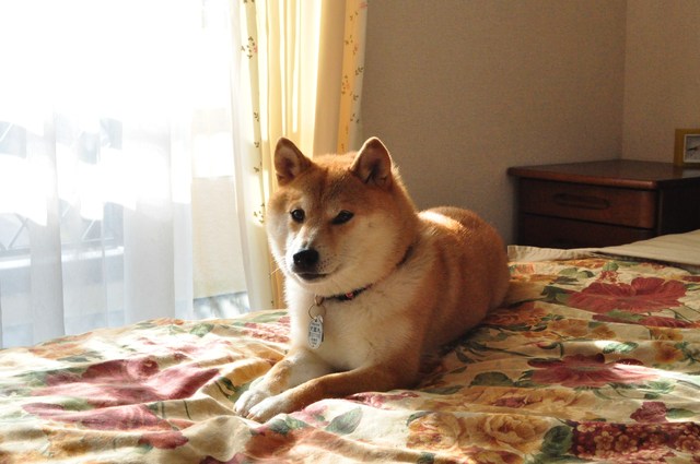 裏かぼちゃんの真実_a0126590_22514144.jpg