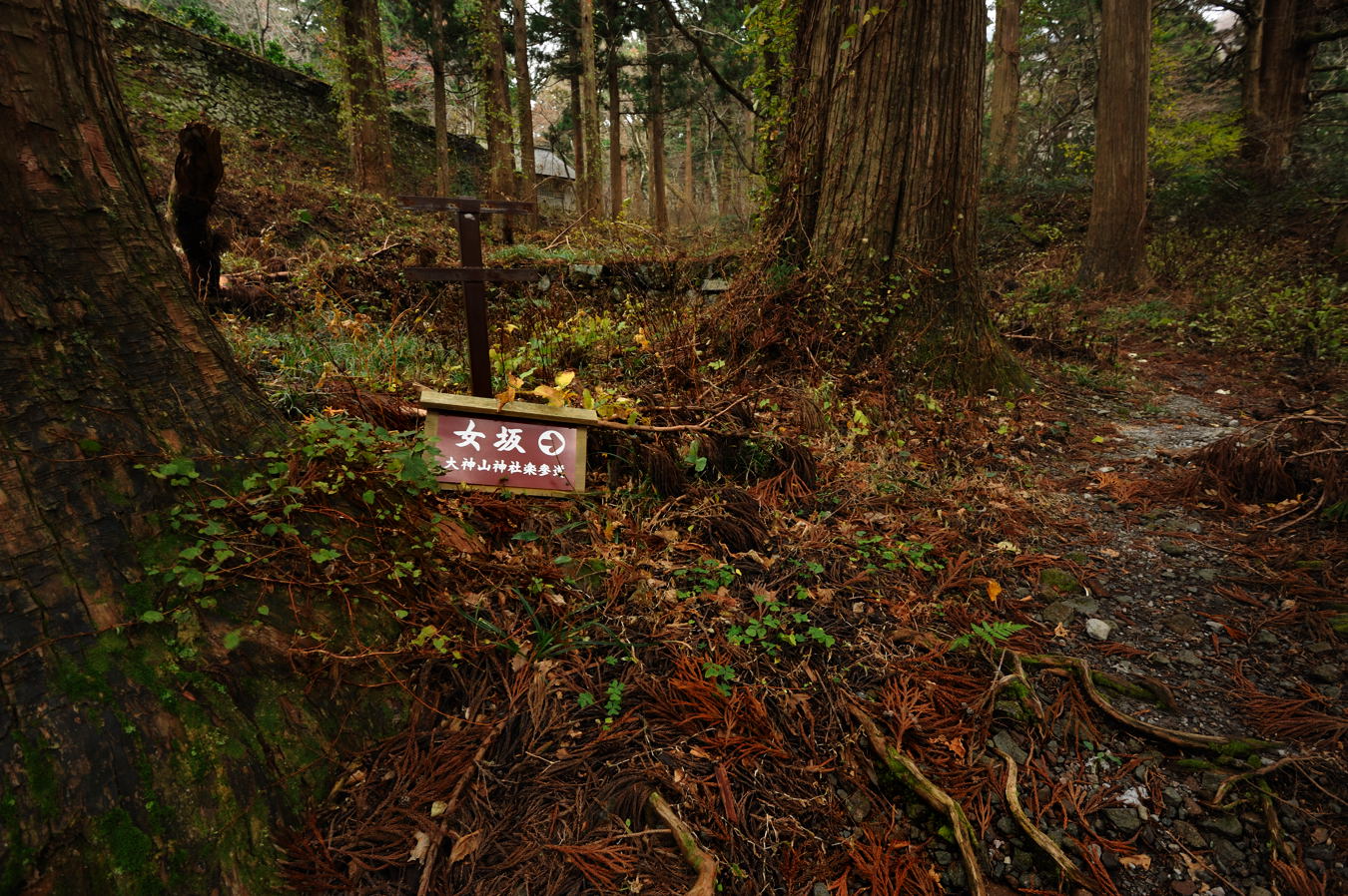 大山(弥山1709m)冬山1回目①_c0138991_20735.jpg