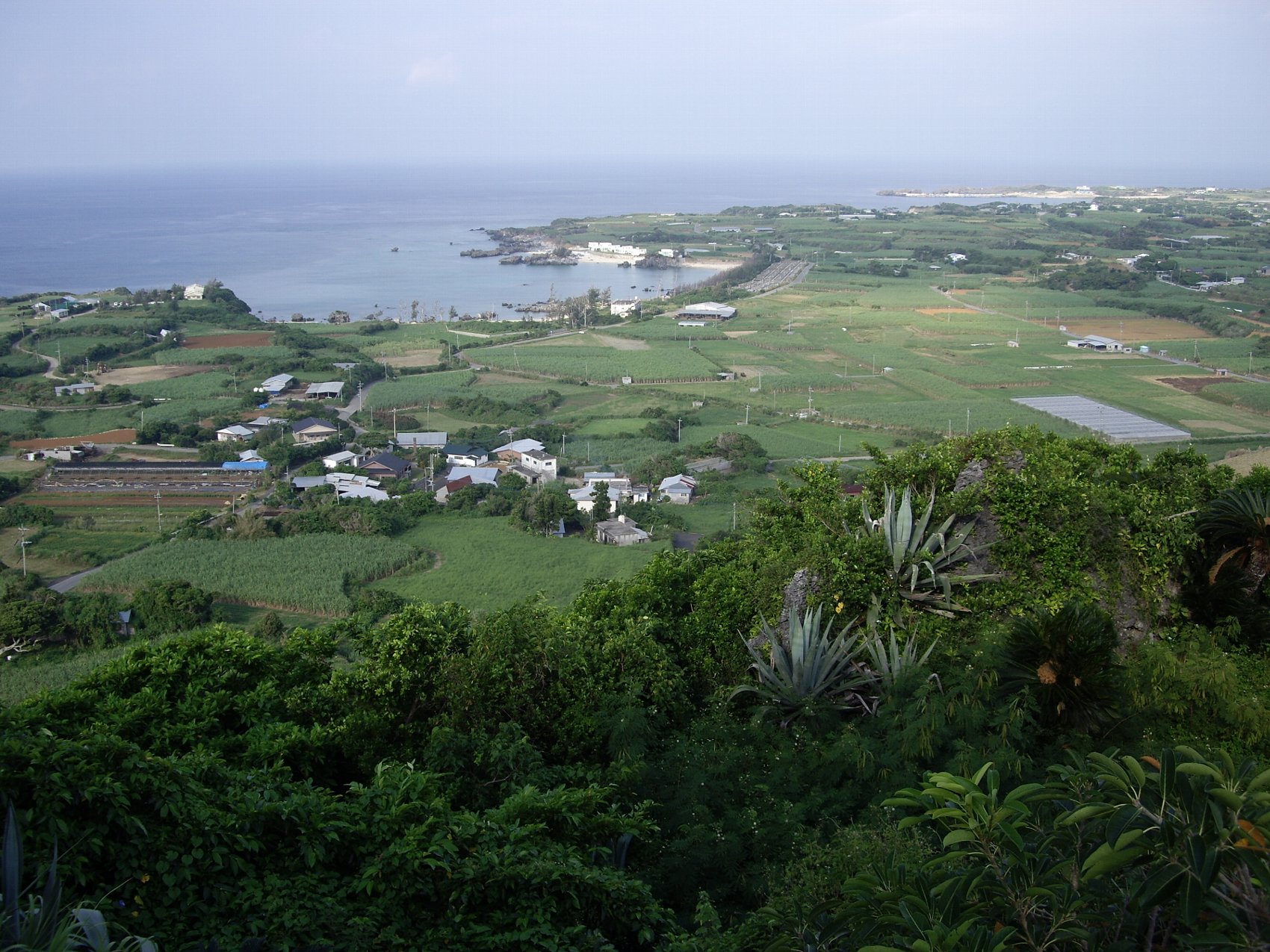 一句詠みたくなる、与論島の風景_e0032991_11232748.jpg
