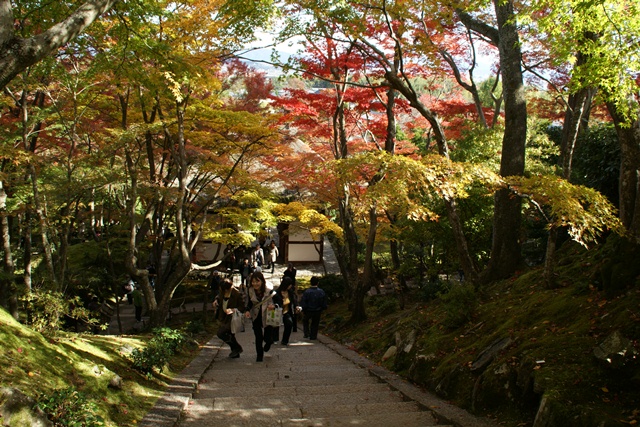 素敵な常寂光寺_d0181492_11484512.jpg