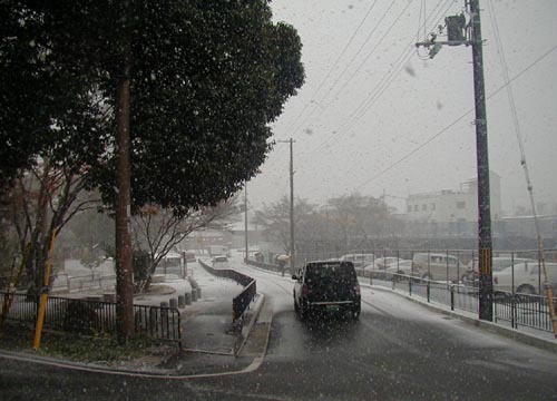 ●嵐山駅前の変化、その170(ホテル、桜の林)_d0053294_23495395.jpg