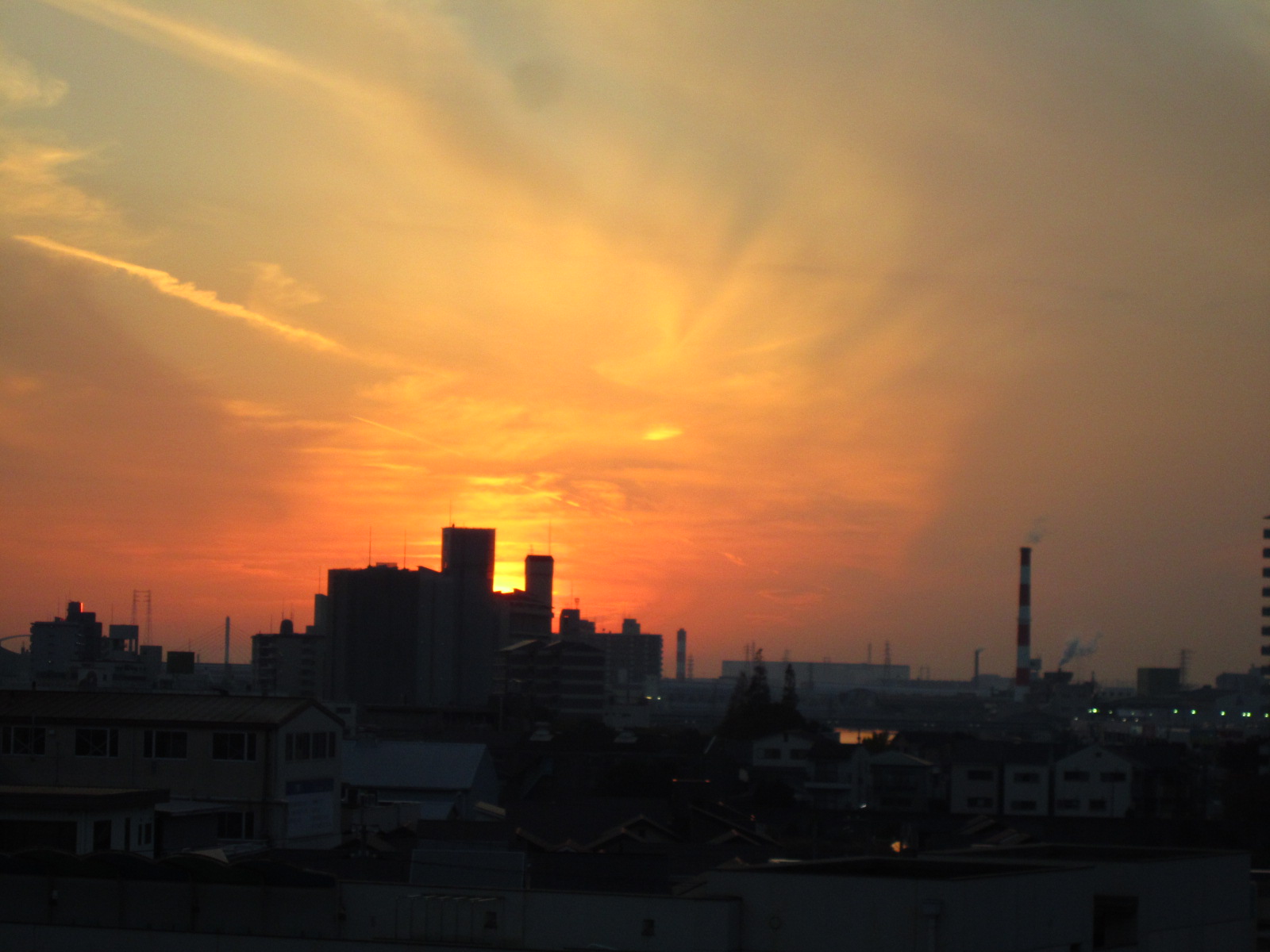 玉ネギ_f0204295_17515168.jpg