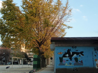 a0207196_10361349.jpg