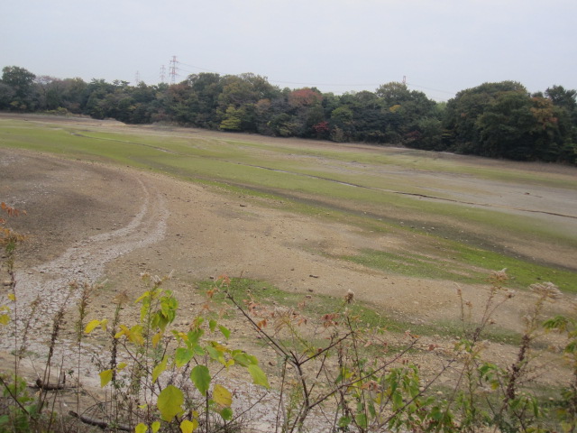 a0145798_19341750.jpg