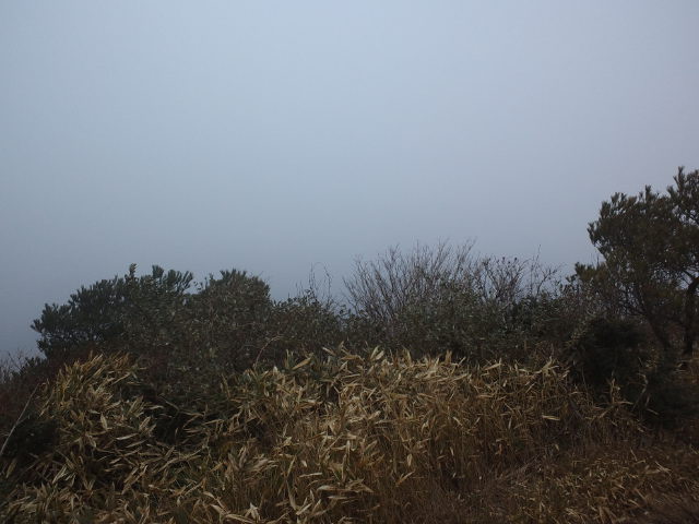 e0190698_10421937.jpg