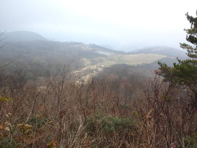 e0190698_10421948.jpg