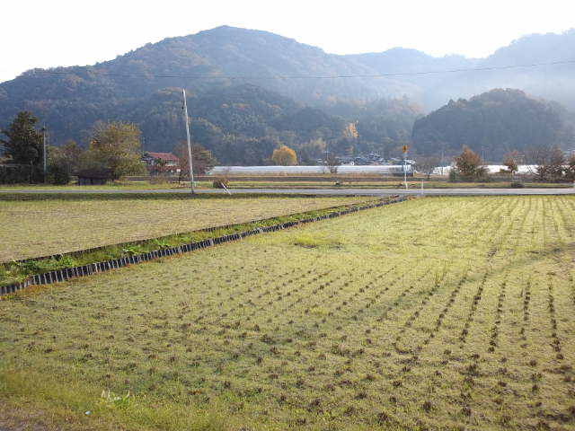 e0190698_1194762.jpg