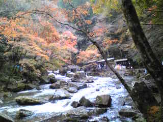 b0124999_14561349.jpg