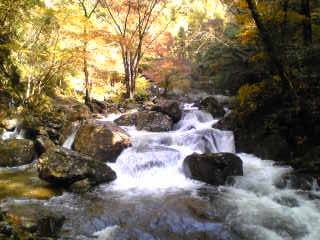 b0124999_1456149.jpg