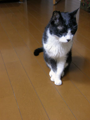 f0036603_1944105.jpg