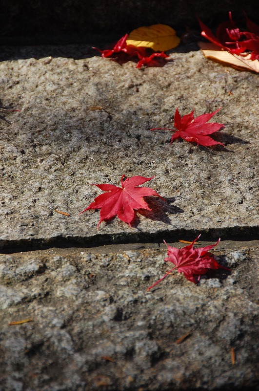 a0092804_235875.jpg