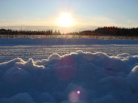 Nov 19 \'11　雪の木_d0251307_3371561.jpg